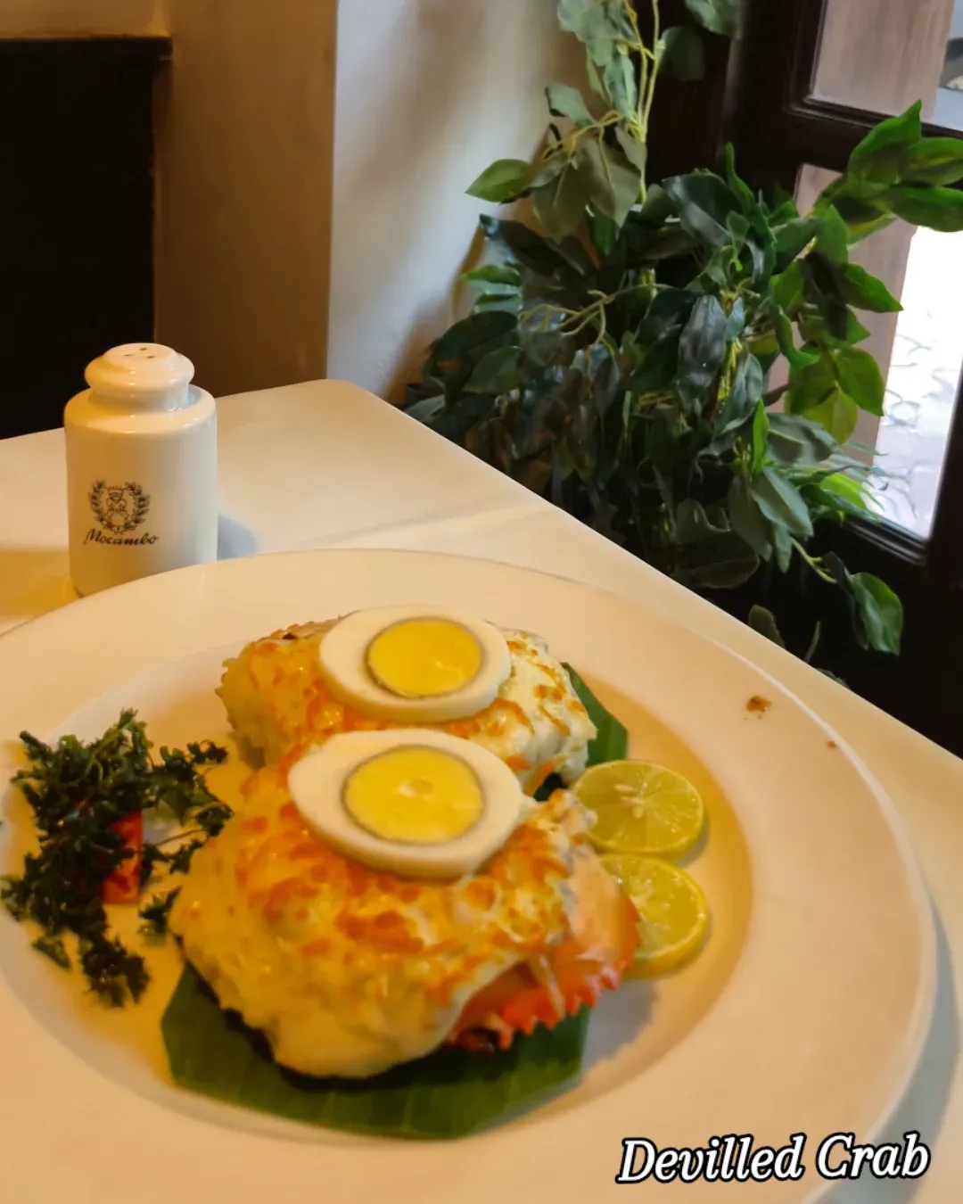 Mocambo Restaurant And Bar Menu